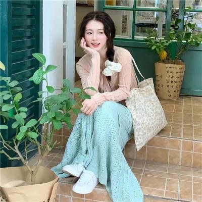 假元首秘纪