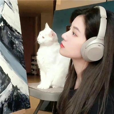 黑杀星