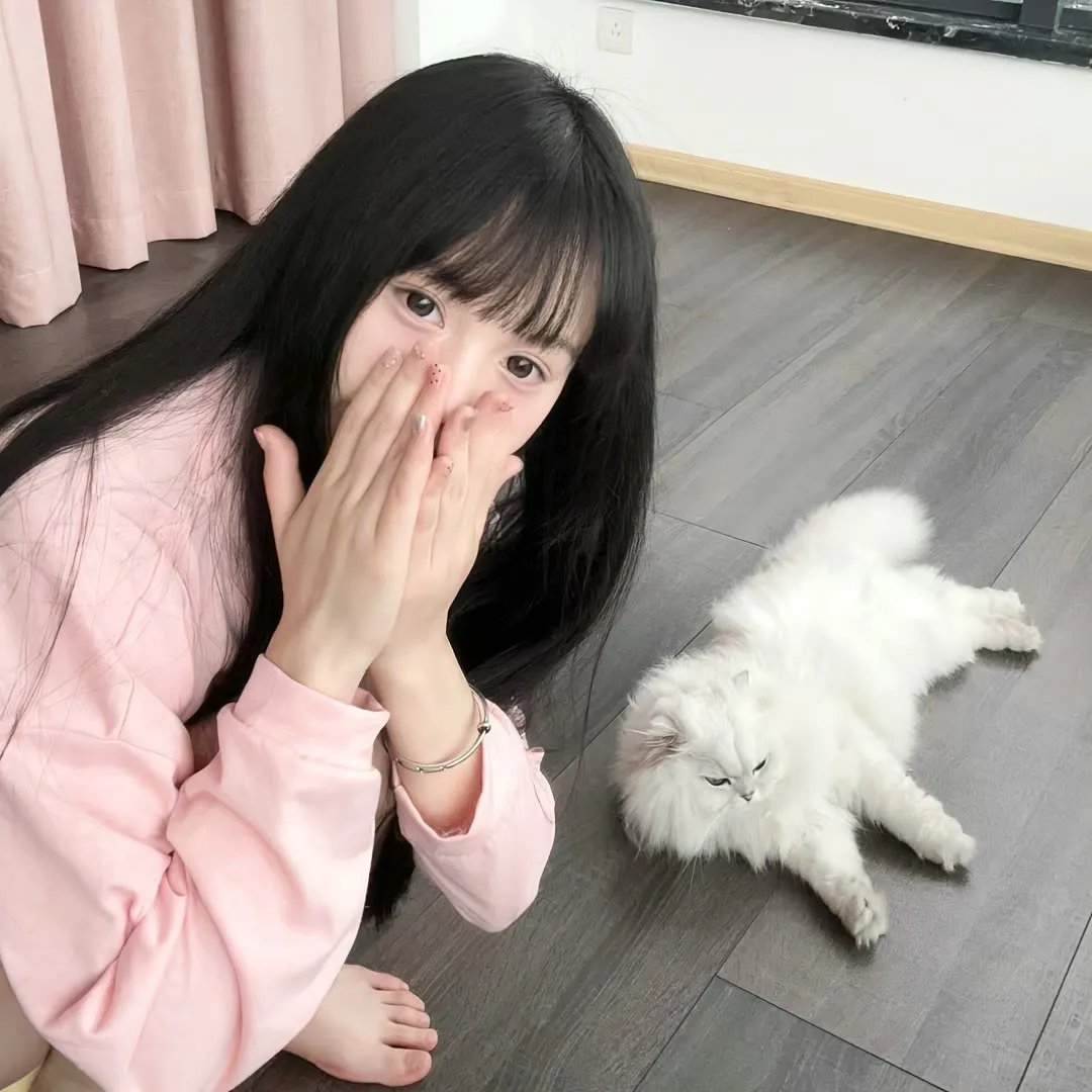 坏爸爸2018
