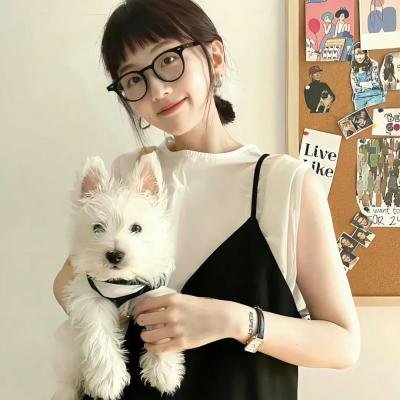 画舫风云粤语